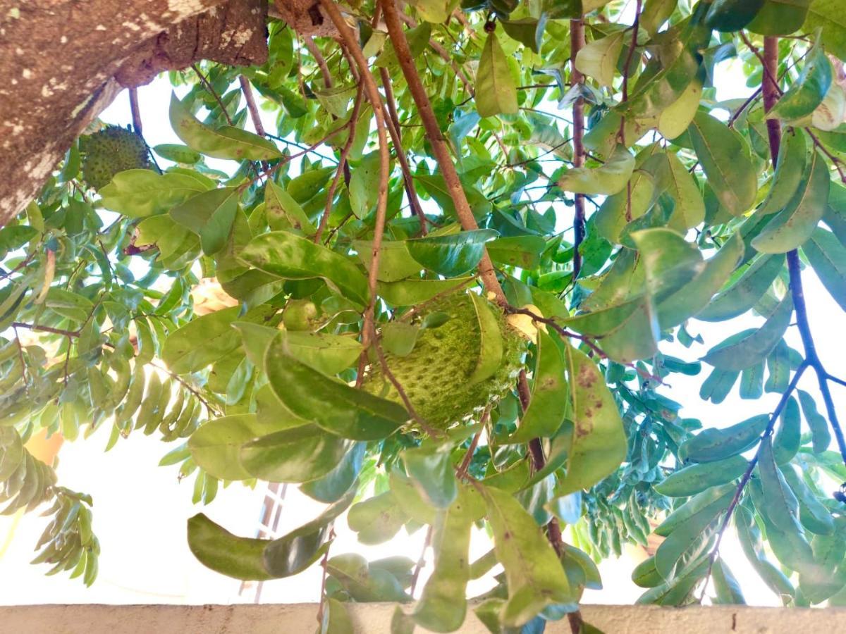 Branca Tropical Brasil Residencial- Taperapuan Villa Porto Seguro Exteriör bild
