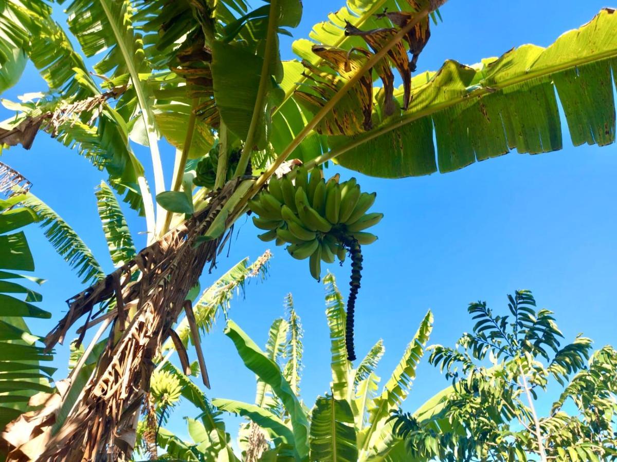 Branca Tropical Brasil Residencial- Taperapuan Villa Porto Seguro Exteriör bild